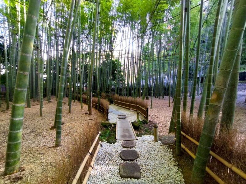 trip-to-kamakura-enoshima-shrines-seaside-temples-tea