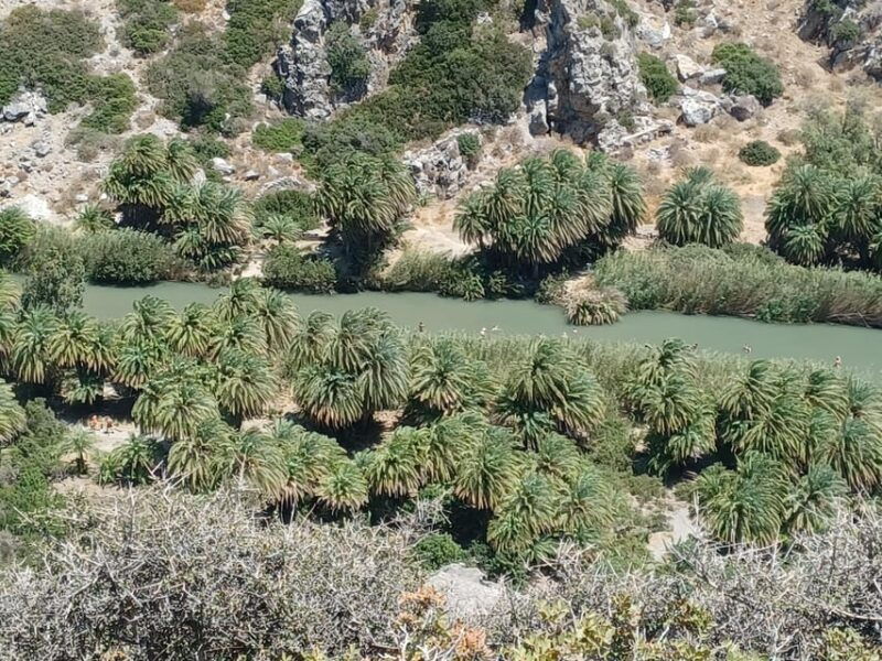 trip-to-kourtaliotiko-gorge-and-preveli-beach