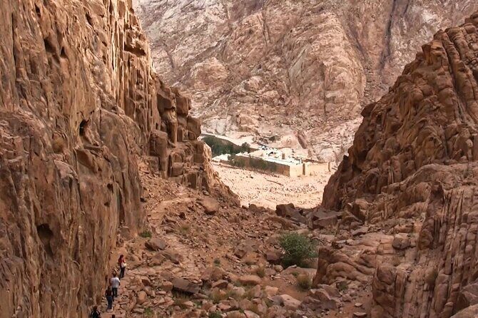 Trip To Mount Sinai & St Catherine From Cairo - The Itinerary and What to Expect  