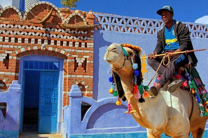 Trip To Nubian Village by motorboat From Aswan - What’s Included and What’s Not