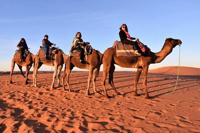 Trip To Sahara Days 3 / 2 Nights From Fez To Marrakech ( Luxury ) - Final Thoughts: Is This Tour Right for You?