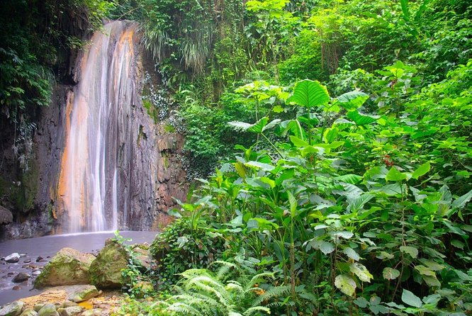 trip-to-soufiere-volcano-twin-pitons-waterfall-mud-bath-botanical-garden