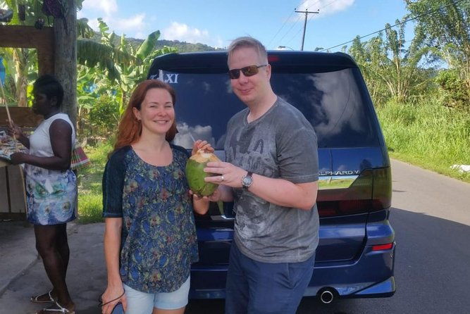 trip-to-soufiere-volcano-twin-pitons-waterfall-mud-bath-botanical-garden