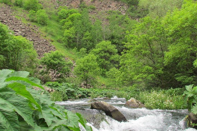 trip-to-the-diamond-bridge-and-dashbashi-canyon