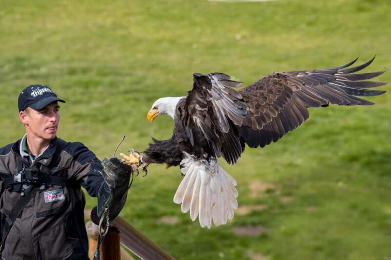 Tripsdrill Wildlife Park: Admission Ticket - Introduction