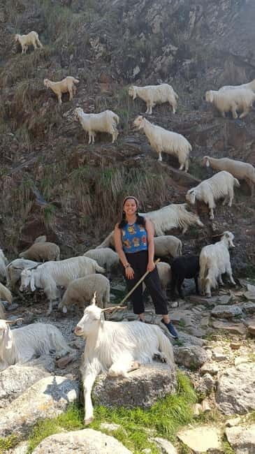 Triund Day hike | Alt 2870 Mtr - An In-Depth Look at the Triund Day Hike