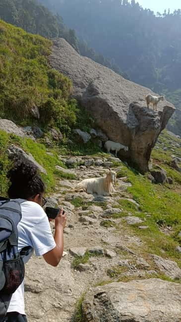 Triund Day hike | Alt 2870 Mtr - Final Thoughts