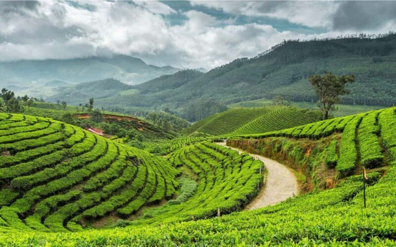 Trivandrum Hills, Villages, History & Waterfalls Guided Tour - Key Points