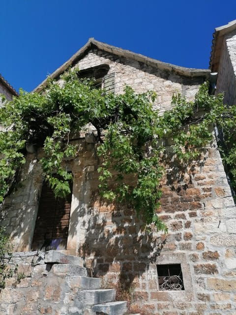trogir-private-walking-tour-of-higlights-of-trogir