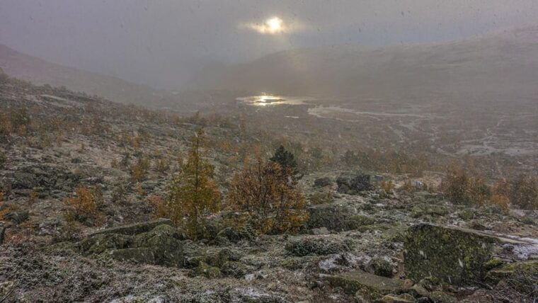 trolltunga-autumn-hike-go-viking