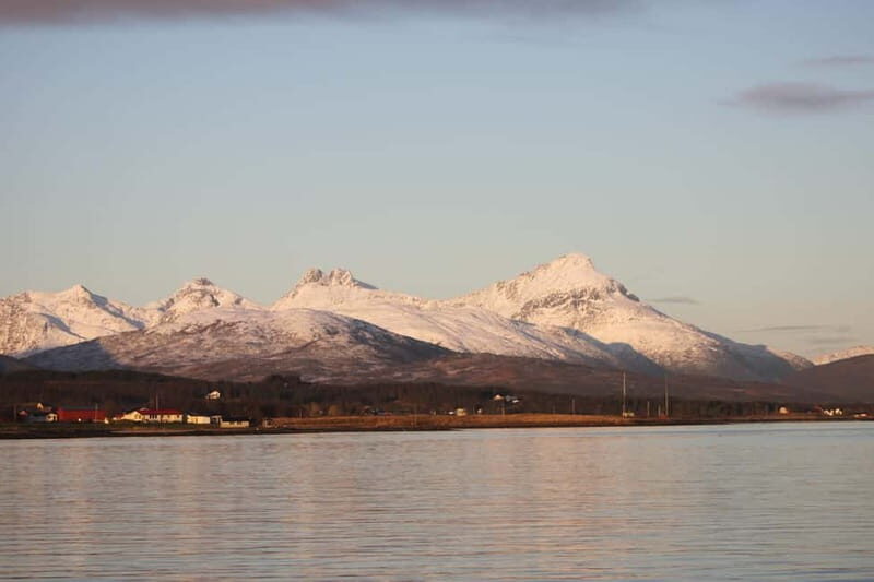 Tromsø: 2-Hour Island Tour Cruise with Snacks and Drinks - Authenticity and Experience Reflection