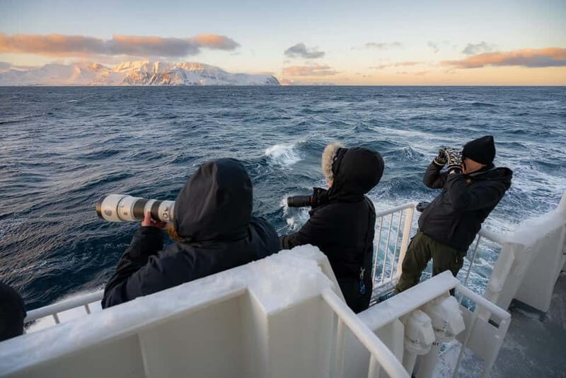 Tromsø: 24hr Northern Lights & Whale Watching Cruise - What To Expect on the Tromsø 24hr Cruise