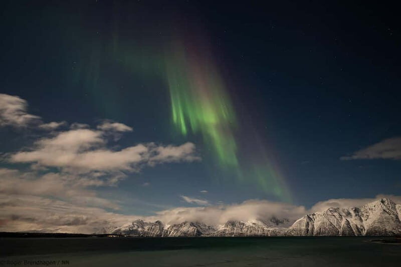 Tromsø: 24hr Northern Lights & Whale Watching Cruise - The Itinerary in Detail