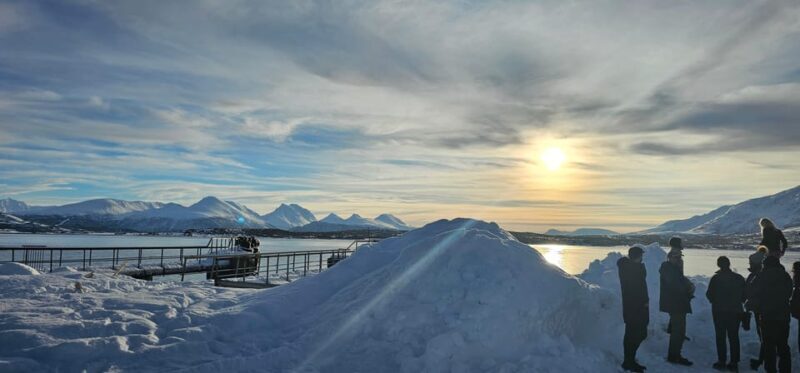 Tromsø: 6 hours Northern Lights tour - Key Points