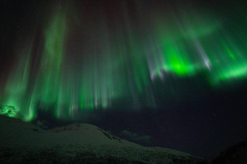 tromso-adult-only-aurora-hunt
