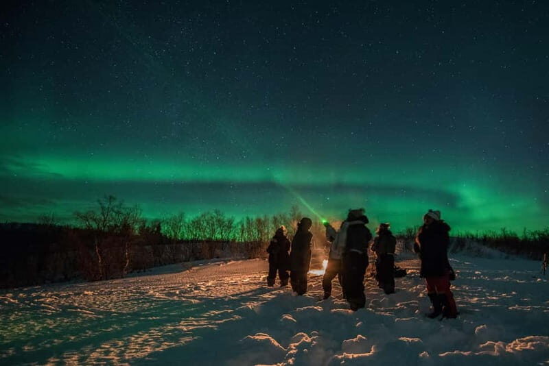 Tromsø: Adult Only Aurora hunt with Citizen Science - Who Is This Tour Best For?