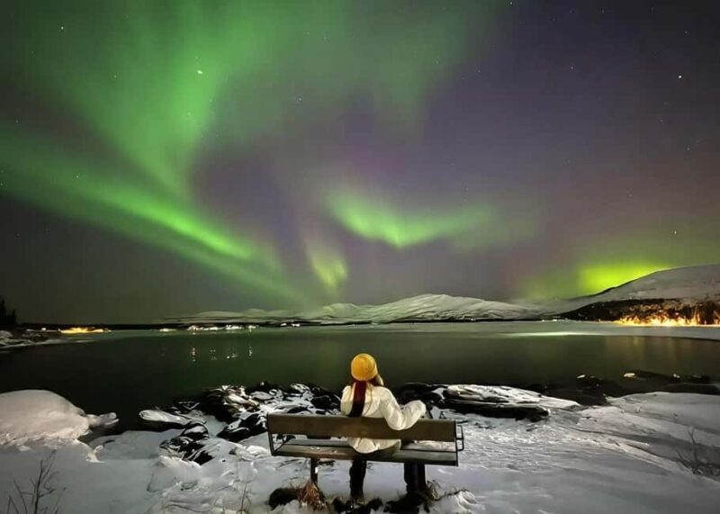 Tromsø: Arctic Experience 4-in-1 Package - Final Thoughts: Who Will Love This Tour?