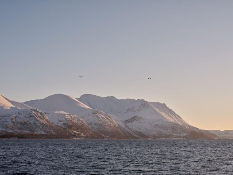 tromso-arctic-fjord-cruise-in-polar-landscapes