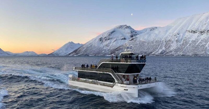 tromso-arctic-fjord-cruise-with-stop-on-land-at-fish-racks