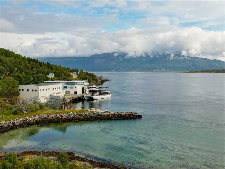 tromso-arctic-fjord-cruise-with-stop-on-land-at-fish-racks