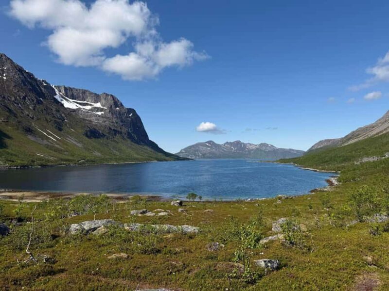 Tromso: Arctic Fjord & Nature Tour - Key Points