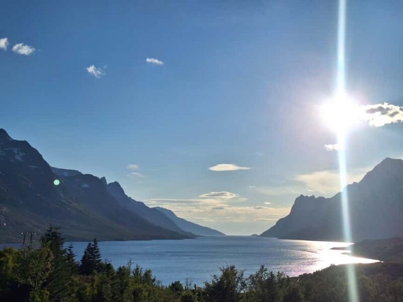 Tromso: Arctic Fjord & Nature Tour - The Experience: Transportation, Group Dynamics, and Value