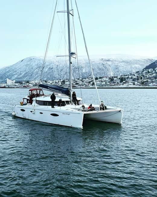 Tromsø: Arctic Fjord Sightseeing Cruise in Luxury Catamaran - Who Should Book This Tour?