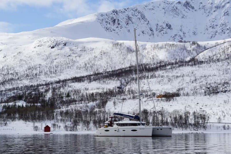 Tromsø: Arctic Fjord Sightseeing Cruise in Luxury Catamaran - FAQ
