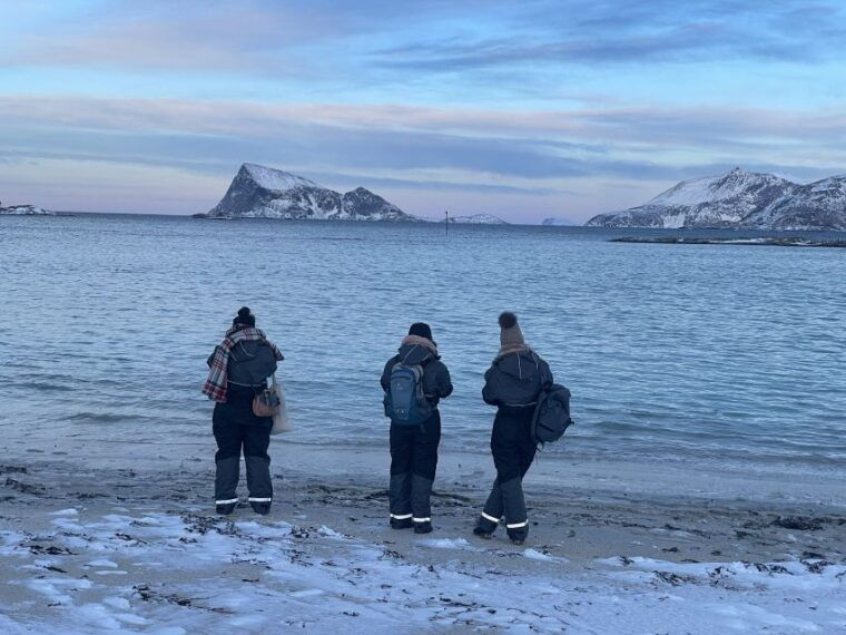 tromso-arctic-fjords-and-reindeer-experience