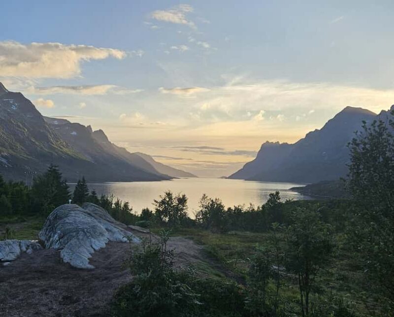 Tromsø: Arctic Fjords Tour. Sommerøya and Kvaløya with Lunch - What to Expect from the Tromsø Arctic Fjords Tour