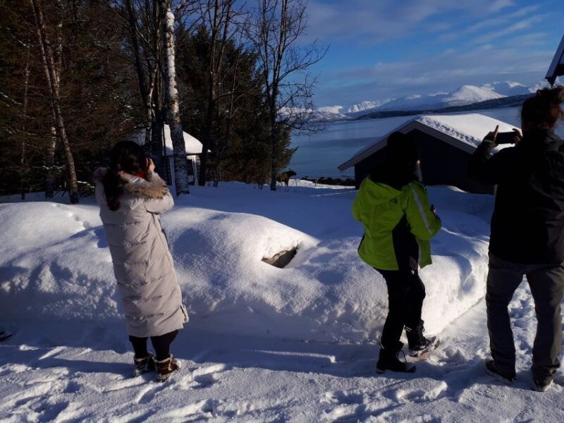 tromso-arctic-landscape-and-fjord-tour-with-snacks