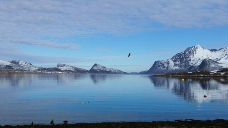 tromso-arctic-landscape-and-fjord-tour-with-snacks