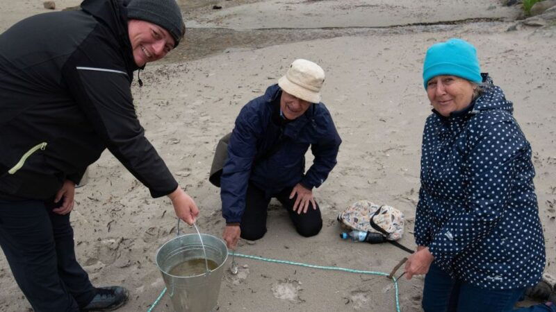 tromso-arctic-landscapes-sightseeing-with-citizen-science