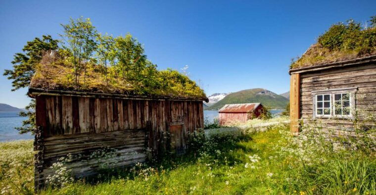 tromso-arctic-landscapes-sightseeing-with-citizen-science