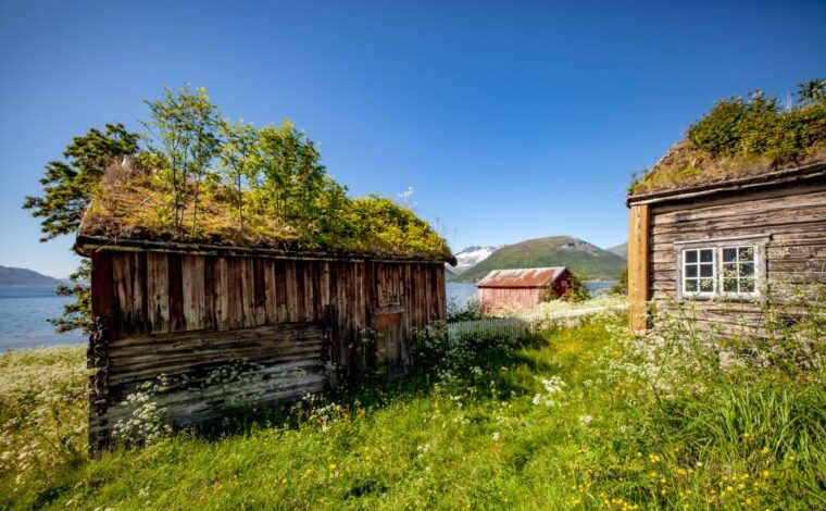 tromso-arctic-landscapes-sightseeing-with-citizen-science