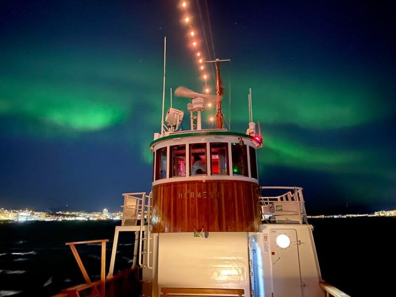 tromso-arctic-light-dinner-cruise-with-fish-soup