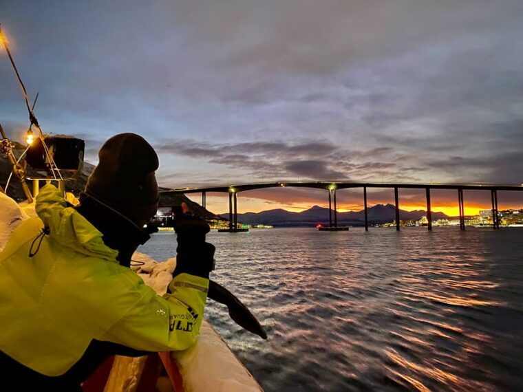 tromso-arctic-light-dinner-cruise-with-fish-soup