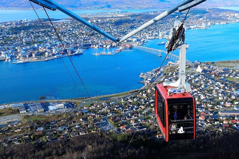 Tromso: Arctic Panorama Cable Car Excursion - The Real Experiences from Travelers