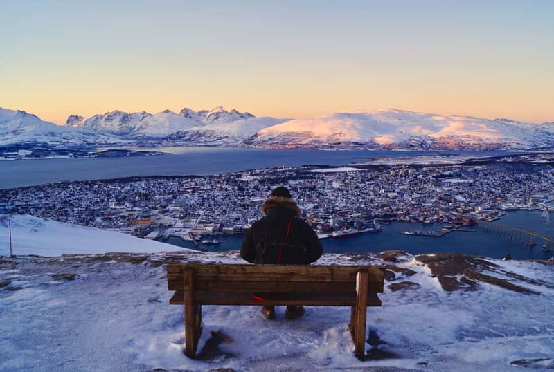 Tromso: Arctic Panorama Cable Car Excursion - Pricing and Value