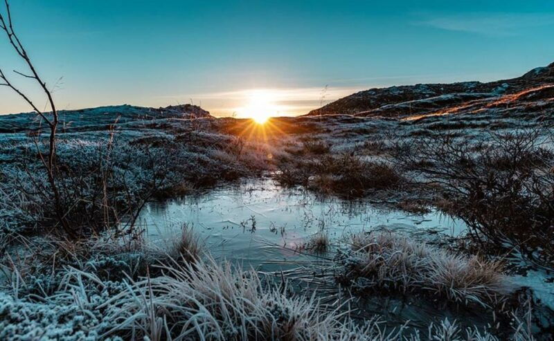 tromso-arctic-sightseeing-tour