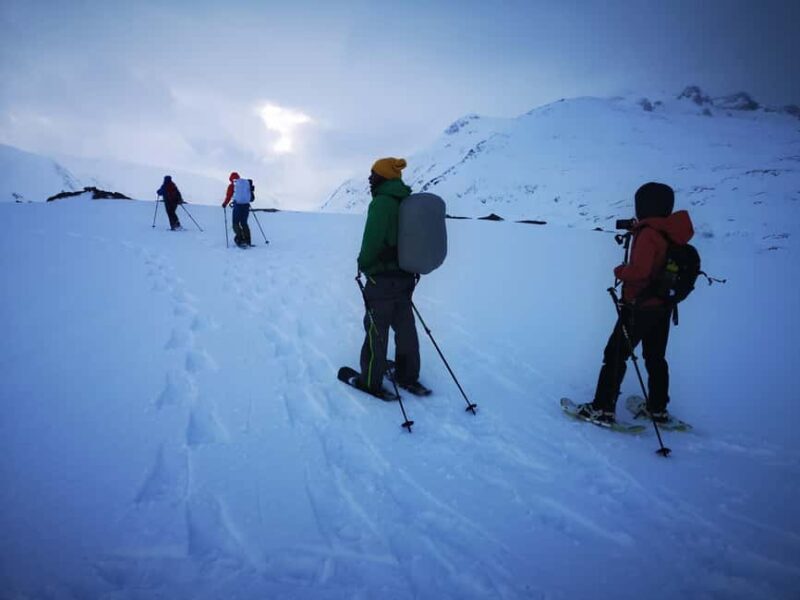 Tromsø: Arctic Snowshoeing Experience - The Itinerary and Its Unique Appeal