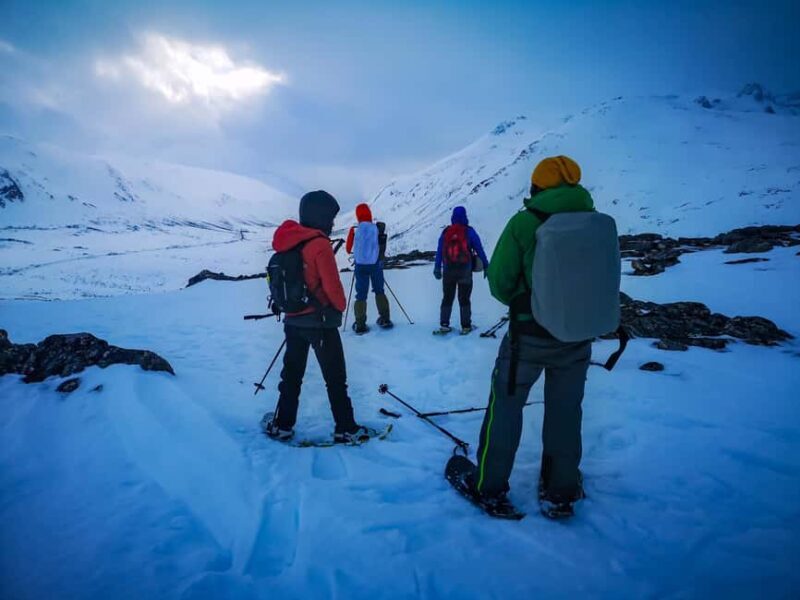 Tromsø: Arctic Snowshoeing Experience - Practicalities: What to Bring and Expect