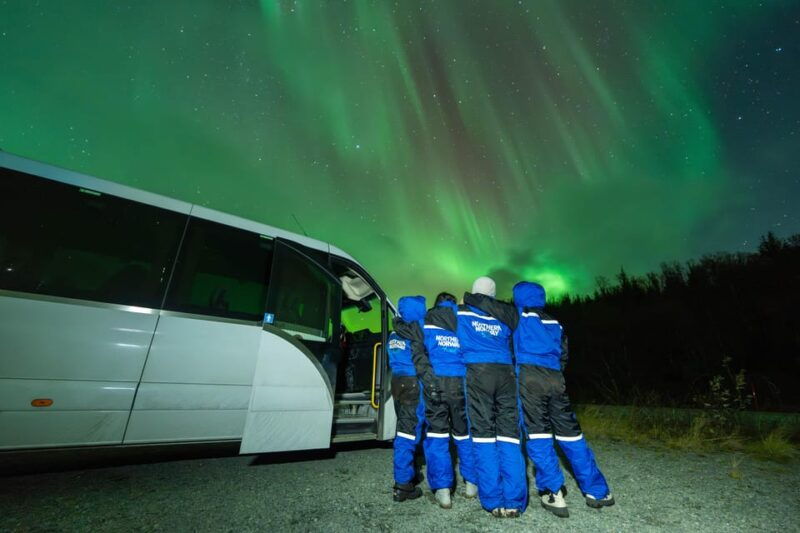 tromso-aurora-borealis-campfire-hot-meal-arctic-tour