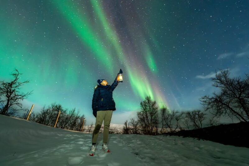 tromso-aurora-borealis-campfire-hot-meal-arctic-tour