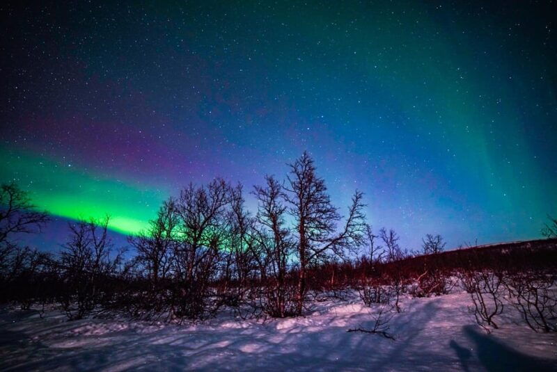 tromso-aurora-borealis-tour-with-minibus-and-local-guide
