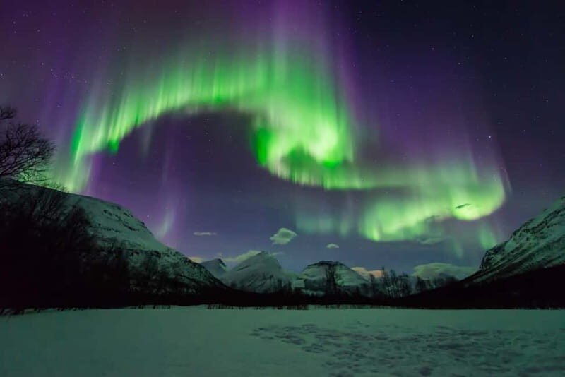 Tromsø: Aurora Hunt with Citizen Science - A Complete Breakdown of the Tromsø Aurora Hunt with Citizen Science