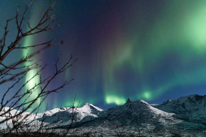 Tromsø: Aurora Quest small group Adventure - An In-Depth Look at the Aurora Quest Experience