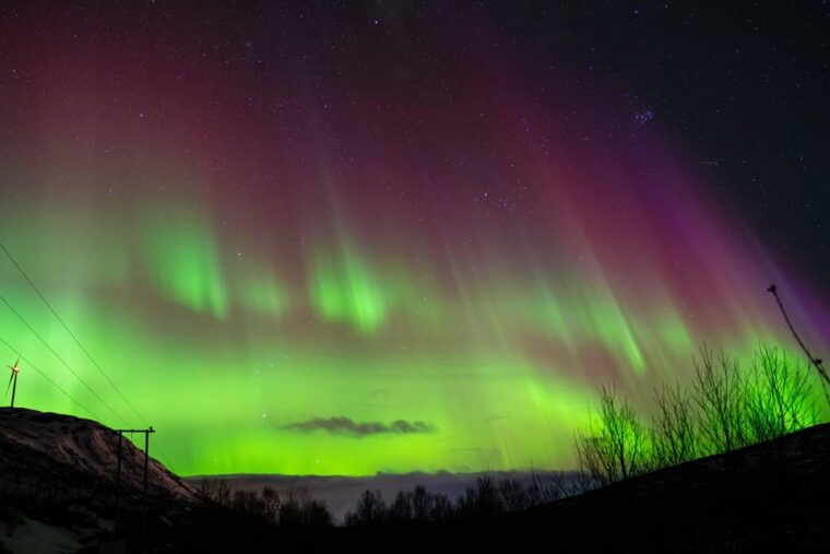 tromso-aurora-tour-with-campfire-and-professional-photos