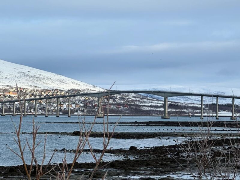 Tromsø: Aurora Tour with Guide and Photos - Max. 15 ppl - Key Points
