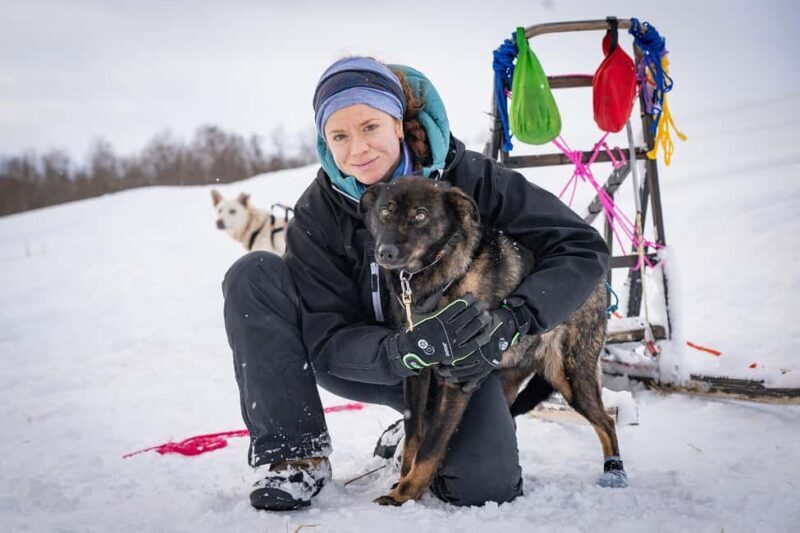 Tromsø: Dog Sledding Adventure at Camp Aspemo - Key Points